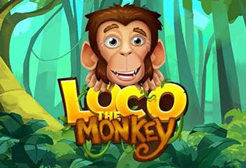 Loco the Monkey